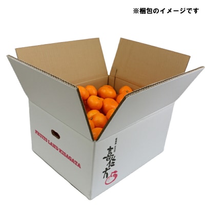 中生みかん 石地温州 10kg 家庭用 サイズ不揃い 兵頭農園 先行予約 B015-055005