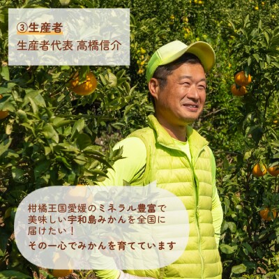 【1月発送予定】 愛媛 ポンカン 5kg 家庭用 みかん 協徳ガーデン B016-178002