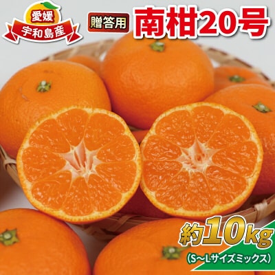 南柑20号 10kg 贈答用 優品 ニュービジネスユニット 先行予約 B018-058005