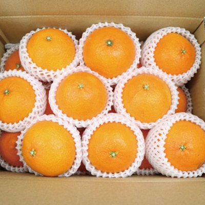 愛果28号 ( 紅まどんな と同品種)  4kg 先行予約 南予ファーム B025-082001