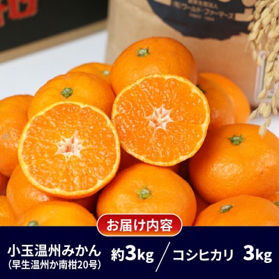 温州みかん小玉3kg+伊達米コシヒカリ3kg ワールドファーマーズ B012-024003