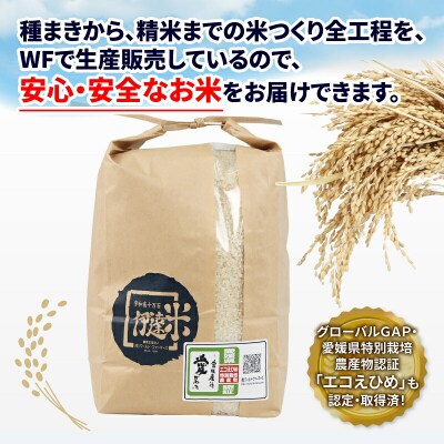 温州みかん小玉3kg+伊達米コシヒカリ3kg ワールドファーマーズ B012-024003