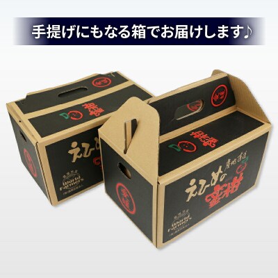 温州みかん小玉3kg+伊達米コシヒカリ3kg ワールドファーマーズ B012-024003