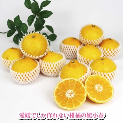 特選媛小春 2kg 矢野青果 B015-171040