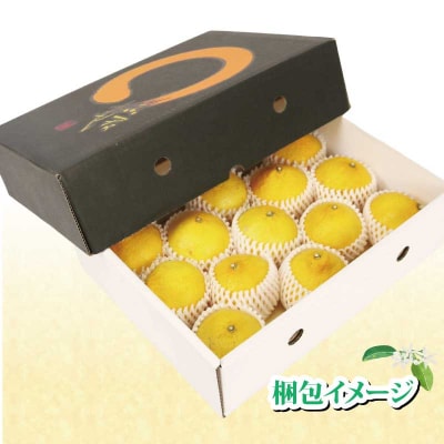 特選媛小春 2kg 矢野青果 B015-171040