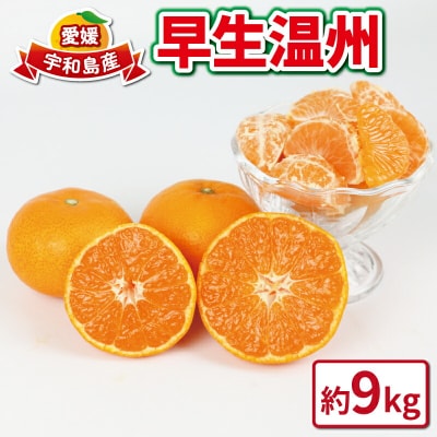 早生温州 9kg つばさ農園 B010-048005