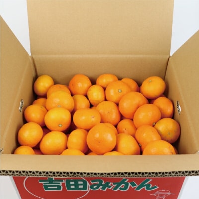 早生温州 9kg つばさ農園 B010-048005