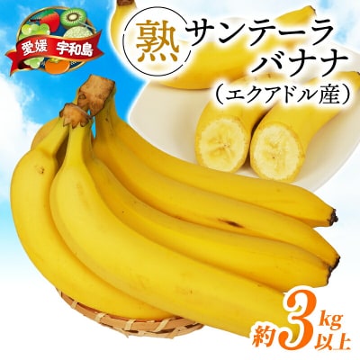 熟サンテーラバナナ 約3kg ( 600g以上 × 5袋 ) 徳田青果 F010-194001