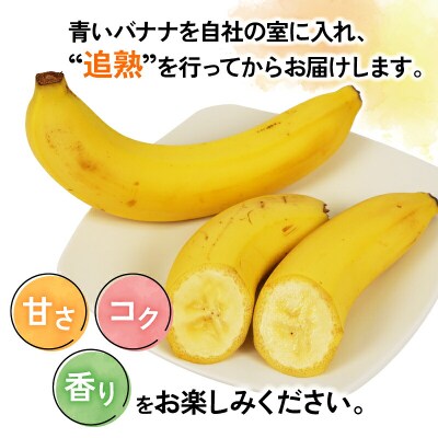 熟サンテーラバナナ 約3kg ( 600g以上 × 5袋 ) 徳田青果 F010-194001