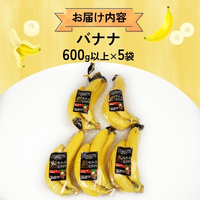 熟サンテーラバナナ 約3kg ( 600g以上 × 5袋 ) 徳田青果 F010-194001