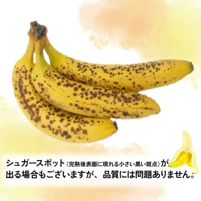 熟サンテーラバナナ 約3kg ( 600g以上 × 5袋 ) 徳田青果 F010-194001