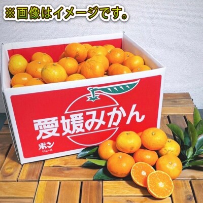 愛媛みかん 訳あり 早生みかん 10kg 誉農園 先行予約 B010-138010