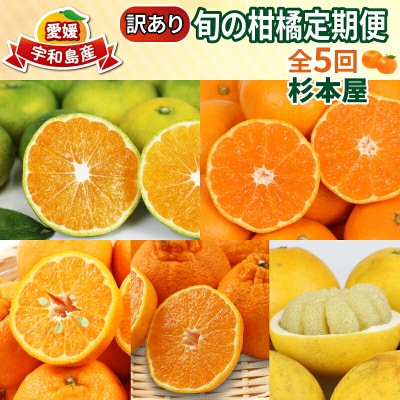 訳あり 旬の柑橘定期便 全5回 杉本屋 B050-143025