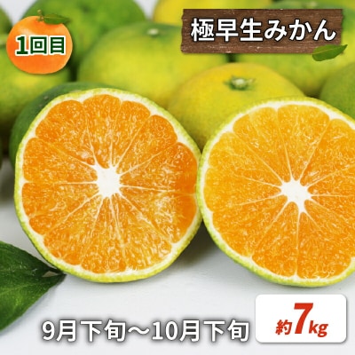 訳あり 旬の柑橘定期便 全5回 杉本屋 B050-143025