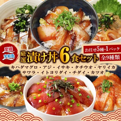 漬丼 全9種 お任せ 天然 漬け丼 6食 セット 食べ比べ 南予ビージョイ D010-150018