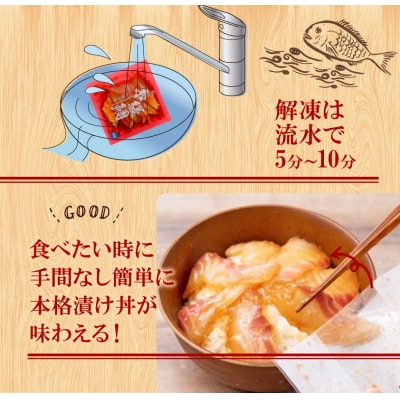 漬丼 全9種 お任せ 天然 漬け丼 6食 セット 食べ比べ 南予ビージョイ D010-150018