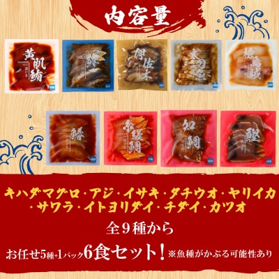 漬丼 全9種 お任せ 天然 漬け丼 6食 セット 食べ比べ 南予ビージョイ D010-150018