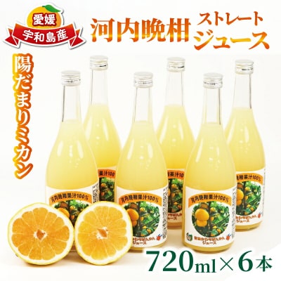 河内晩柑 ストレートジュース 720ml × 6本 陽だまりミカン H024-050009
