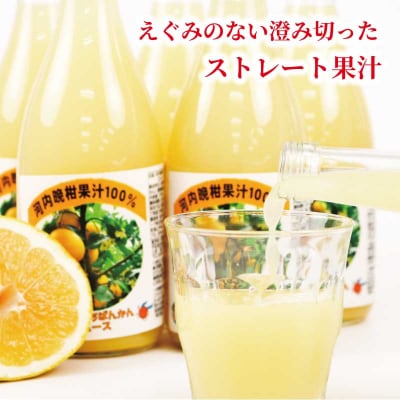 河内晩柑 ストレートジュース 720ml × 6本 陽だまりミカン H024-050009