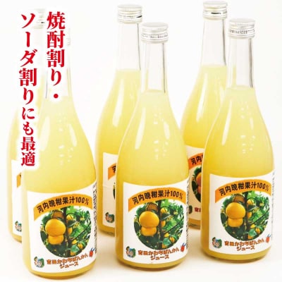 河内晩柑 ストレートジュース 720ml × 6本 陽だまりミカン H024-050009