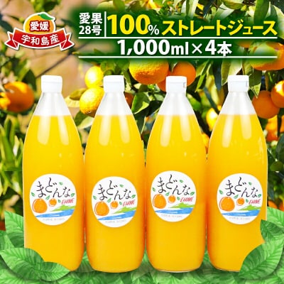 愛果28号 100% ストレートジュース 1,000ml × 4本 奥田農園 H024-188001