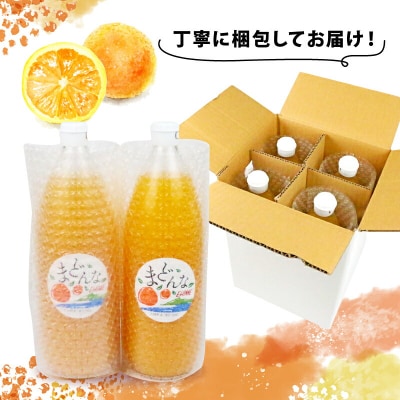 愛果28号 100% ストレートジュース 1,000ml × 4本 奥田農園 H024-188001