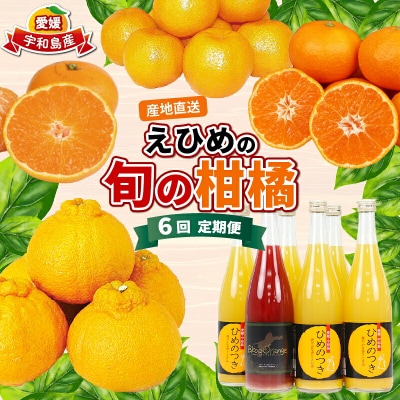 えひめの旬の柑橘 産地直送 6回定期便 えひめ南農業協同組合 B120-009012