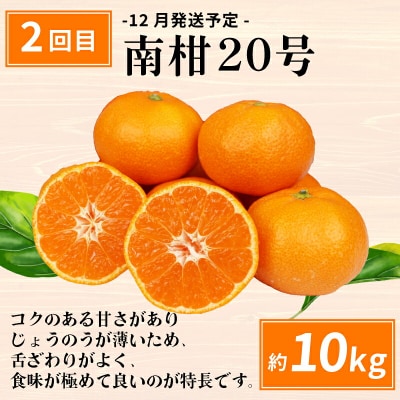 えひめの旬の柑橘 産地直送 6回定期便 えひめ南農業協同組合 B120-009012