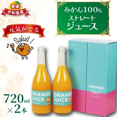みかんジュース 720ml×2本セット ORANGE Salud! H010-196001