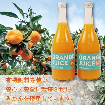 みかんジュース 720ml×2本セット ORANGE Salud! H010-196001