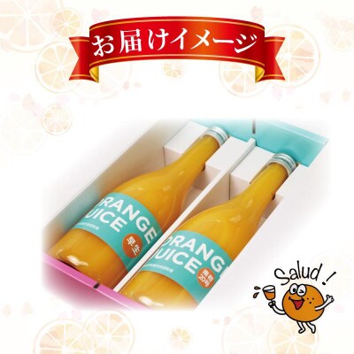 みかんジュース 720ml×2本セット ORANGE Salud! H010-196001