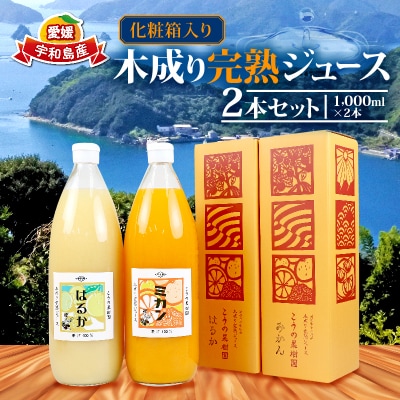 完熟 木成り みかんジュース 化粧箱入り 1000ml×2本 こうの果樹園 H012-182001
