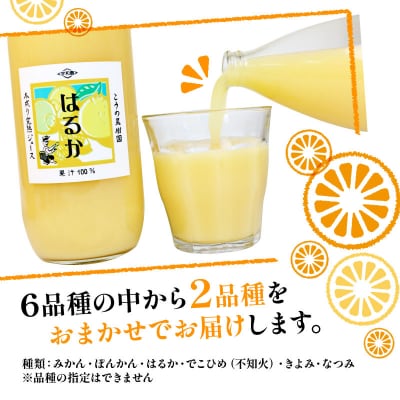完熟 木成り みかんジュース 化粧箱入り 1000ml×2本 こうの果樹園 H012-182001