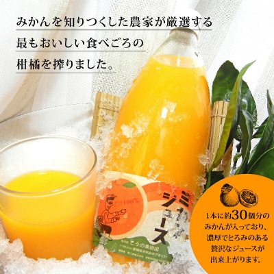 完熟 木成り みかんジュース 化粧箱入り 1000ml×2本 こうの果樹園 H012-182001