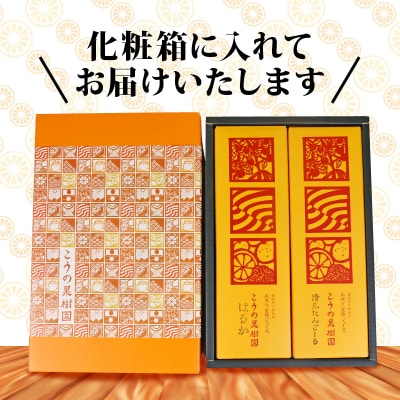 完熟 木成り みかんジュース 化粧箱入り 1000ml×2本 こうの果樹園 H012-182001