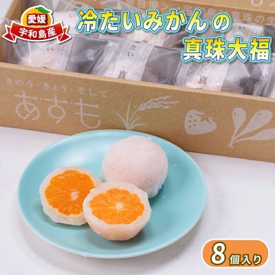 冷たい みかんの真珠大福 津島あぐり工房 J014-066003