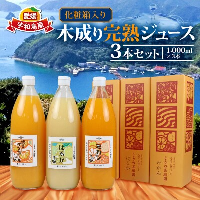 化粧箱入り 木成り完熟ジュース3本セット こうの果樹園 H020-182002