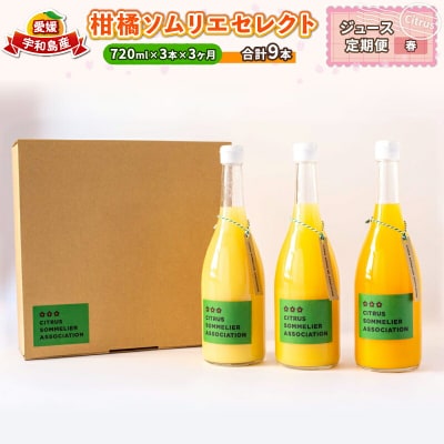 柑橘ソムリエセレクト　ジュース定期便(春)(柑橘ソムリエ愛媛)H040-064002