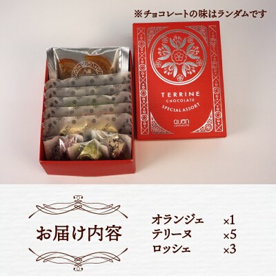 スエヒロハーフBOX チョコ セット 久遠 チョコレート J010-167001
