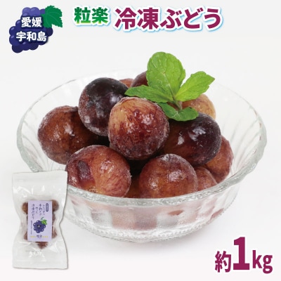 粒楽 冷凍ぶどう 南四国ファーム J010-035015