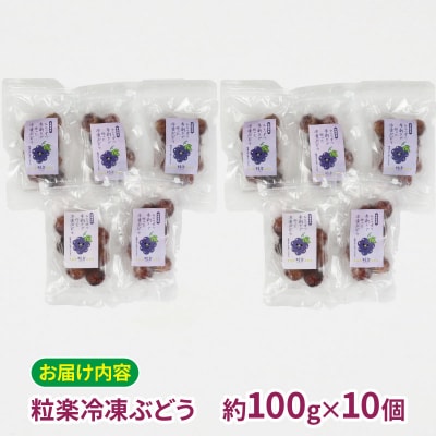 粒楽 冷凍ぶどう 南四国ファーム J010-035015