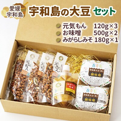 宇和島の大豆セット 津島あぐり工房 J012-066001
