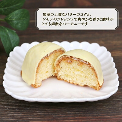青い島のレモンケーキ 寿提夢 J010-097002