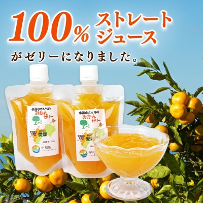 小清水さんちのみかんゼリー 小清水農園 J010-033002