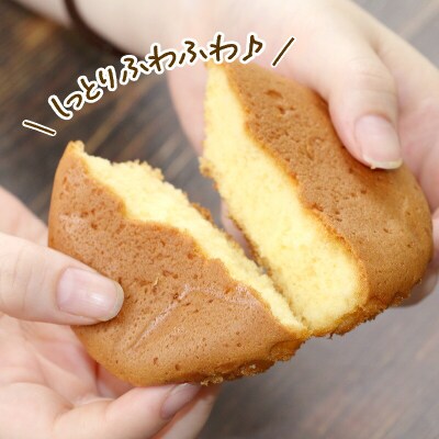 伊達マドレーヌ 寿提夢 J010-097009