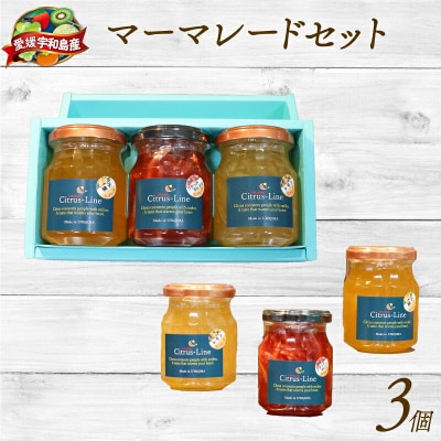 マーマレードセット Citrus-Line J014-098002