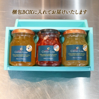 マーマレードセット Citrus-Line J014-098002