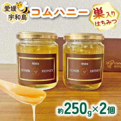 コムハニー 250g 2個 宇和島農産 ハチミツ はちみつ 巣蜜 非加熱 F018-132012