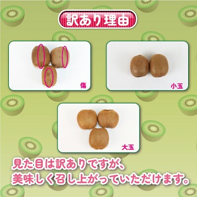 訳あり キウイ フルーツ 5kg 吉田農園 グリーンキウイ ヘイワード F012-160003