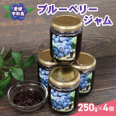 ブルーベリージャム 夢萬開 J015-105002